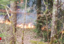 Bayern: Waldbrand im Schönramer Filz in Petting → rund 1.000 qm Fläche betroffen