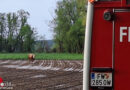 Bgld: Entlaufener Stier von Feuerwehr nach Hause begleitet