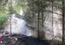 Bayern: Feuer im Wald in Augsburg