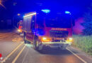 D: Orange 2-Tonnen-Kugel sorgt für nächtlichen Feuerwehreinsatz