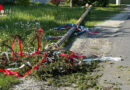 Stmk: Maibaum der Feuerwehr Penzendorf mutwillig gefällt