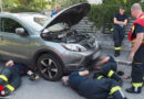 Nö: Katze in Biedermannsdorf aus Auto-Motorraum befreit