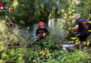 Bayern: Feuerwehr München beseitigt Gefahr im Auer Mühlbach