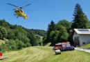 Nö: Tote Person nahe eines Baches in Frankenfels