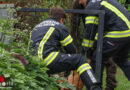 Oö: Feuerwehr und Jäger befreien eingeklemmten Rehbock aus Gartentor in Thalheim bei Wels