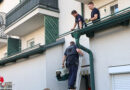 Oö: Katze durch Feuerwehr und Polizei von Balkon einer Wohnanlage in Wels gerettet