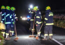 Oö: Wildunfall führte zu neuerlichem Einsatz einer Feuerwehr in Steinhaus