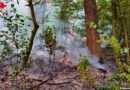 D: Waldbrand auf 1.600 m² fordert umfangreichen Feuerwehreinsatz
