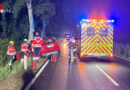 D: 83-jähriger Autofahrer bei Unfall auf der Landesstraße 124 tödlich verletzt