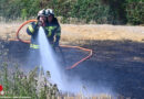 Oö: Zwei Feuerwehren bekämpfen Brand auf Getreidefeld in Leonding