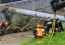 Oö: Größerer Baum blockiert Schiffsanlegestelle an der Donaulände in Linz