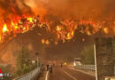 Türkei: Der Wind drehte → 10 Forstarbeiter und Rettungskräfte bei Waldbrand bei Eskisehir getötet