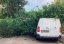 Bayern: Umgestürzter Baum erfordert schweres Gerät in München