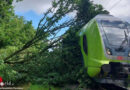 D: Baum fällt auf Oberleitung → Zug kann nicht rechtzeitig bremsen
