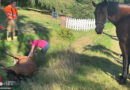 D: Pony in Achtermeer / Wardenburg aus Graben befreit