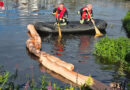 D: Öl auf der Aller nach Motorrollerfund im Wasser in Celle