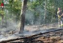 D: Waldbrand im Nationalpark bei Schmidt