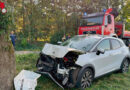 Nö: Pkw prallt gegen Baum – Lenkerin verletzt