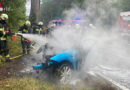 Nö: Pkw prallt bei Bad Vöslau gegen Baum → ein Toter (40) in brennendem Auto