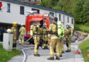 Sbg: Hase bei Brand in einem Wohnhaus in Hallein gerettet