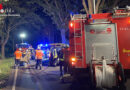 D: Pkw prallt gegen Baum, Fahrer bei Lüchow-Dannenberg schwer verletzt eingeklemmt