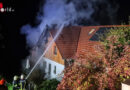 Oö: Katze warnt Familie vor Feuer in Wohnhaus in Lasberg