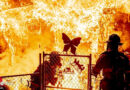 USA: Eine Tote und zwei tote Hunde bei ausgedehntem Wohnhausfeuer in Fort Worth