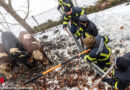 Oö: Katz‘ und Maus-Spiel bei Suche nach 17 Rindern durch drei Feuerwehren
