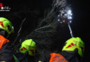 Oö: Baum umgestürzt → Feuerwehr mit Teleskopmastbühne in Steinerkirchen an der Traun im Einsatz