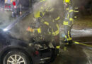 Nö: Autobrand auf der S3 bei Göllersdorf