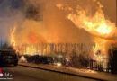 D: Hecke in Soest in Flammen