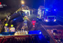 D: Verkehrsunfall mit Pferdetransporter auf der A28 → zwei Tiere gerettet