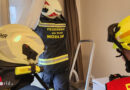 Nö: Fledermäuse auf Vorhangstange in Wohnzimmer in Mödling