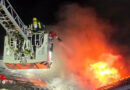D: Vier gerettete Kaninchen bei Dachstuhlfeuer in Neujahrsnacht in Celle
