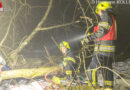 Oö: Zwei unter Bäumen begrabene Personen als Ausbildungsthema bei der Feuerwehr Alkoven