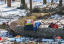 Stmk: Forstunfall im Lauslinggraben, Verletzter per Hubschrauber gerettet