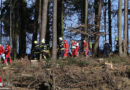 Oö: Baum reißt auf → 33-Jähriger nach Forstunfall bewusstlos