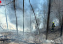 Stmk: Böschungs-Waldbrand bei Judenburg