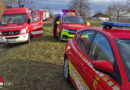 D: Person in Reichenau aus dem Ententeich gerettet