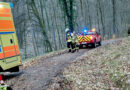 D: Schwerer Reitunfall im Wald → Einsatzkräfte retten 16-Jährige unter schwierigen Bedingungen