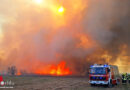 Bgld: 35-Hektar-Schilf- und Flurbrand bei starkem Wind zwischen Illmitz und Podersdorf → Brandeinsatz B3