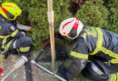 Nö: Verletzter Reiher in Wiener Neudorf aus Garten gerettet