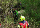 Oö: Auto bei St. Marien nach Fahrt durch Wald im Bachbett gelandet