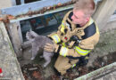 D: Feuerwehr Ennepetal holt Katze aus Lichtschacht