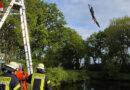 D: Feuerwehr rettet in Seil vom Baum hängenden Vogel