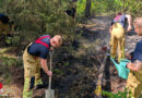 D: Waldbrand in der Dresdner Heide
