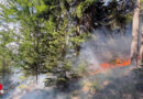 Stmk: Waldbrand am Raas → 10 Feuerwehren im Einsatz