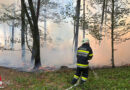 Stmk: Waldbrand in Fürstenfeld