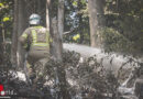 Tirol: 6 Feuerwehren bei Waldbrandeinsatz entlang der Achenseebahntrasse