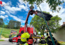 Bgld: Pkw prallt gegen eine Straßenlaterne